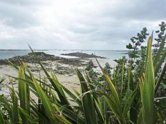 131 Ile de Batz Jardin Georges Delaselle_000012